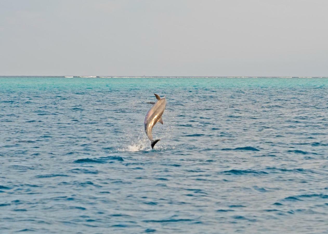 Ocean Village Maldives Holhudhoo Extérieur photo